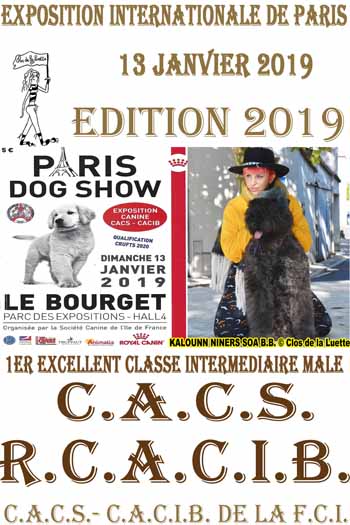 KALOUNN PARIS DOG SHOW 2019 